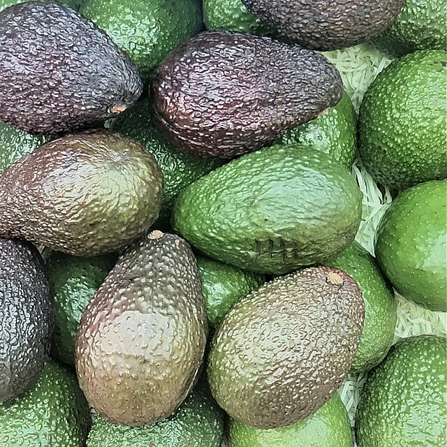 Sfondo