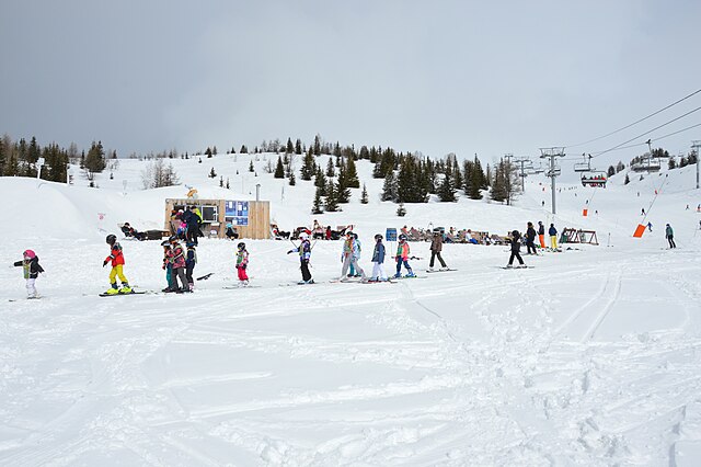 Ski export